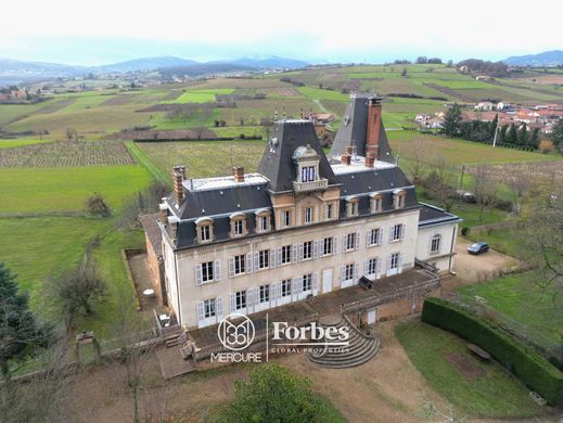 Castle in Villefranche-sur-Saône, Rhône