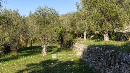 Terreno - Opio, Alpes Marítimos