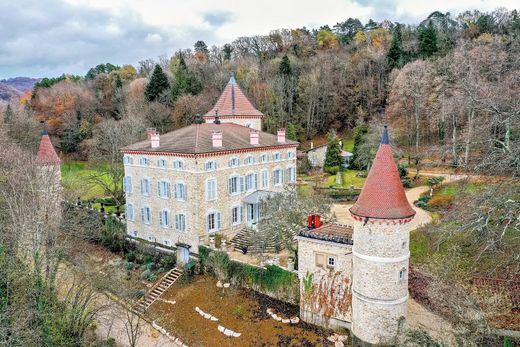Castle in Bourg-en-Bresse, Ain