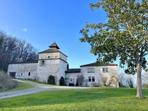 Tournon-d'Agenais, Lot-et-Garonneの宮殿