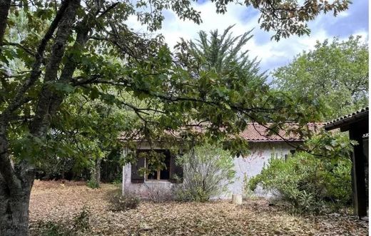 Andernos-les-Bains, Girondeの高級住宅