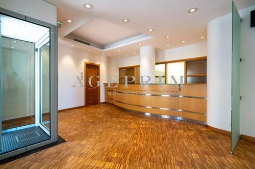 Büro in Monaco