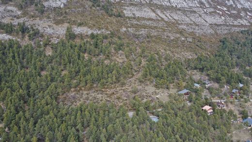 Caille, Alpes-Maritimesの土地