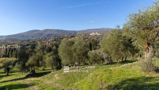 Terreno a Opio, Alpi Marittime