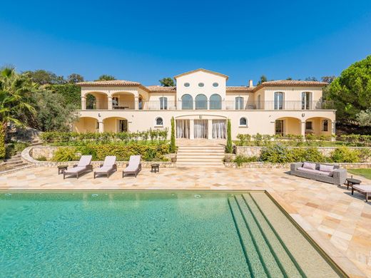 法国 豪宅 出售 - 法国奢华别墅/套间