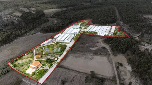 Demeure ou Maison de Campagne à Ramalhal, Torres Vedras