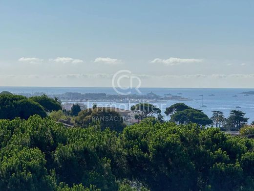 カンヌ, Alpes-Maritimesのアパートメント