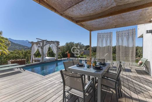 Luxus-Haus in Palasca, Haute-Corse