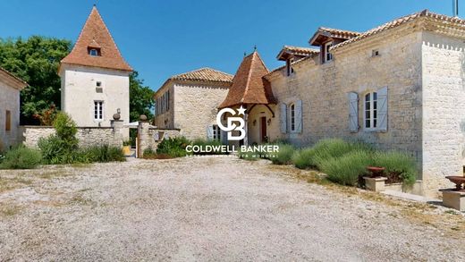 Palace in Montaigu-de-Quercy, Tarn-et-Garonne