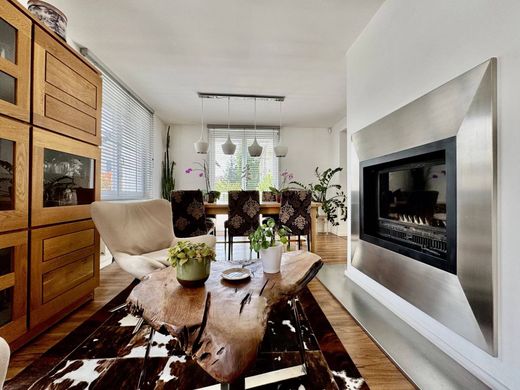 호화 저택 / Annecy, Haute-Savoie