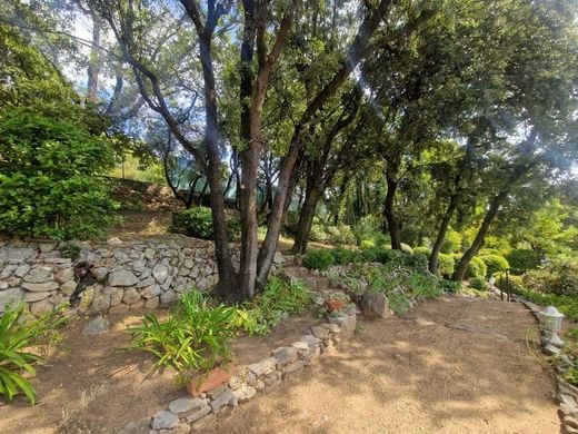 Casa di lusso a Trans-en-Provence, Var