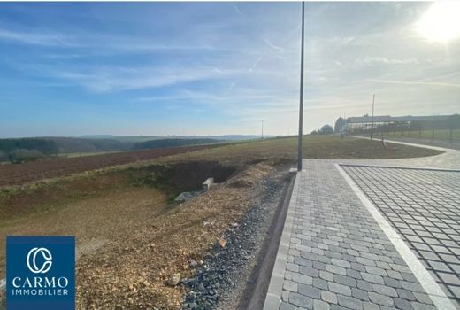 Hoscheiderdickt, Parc Hosingenの土地