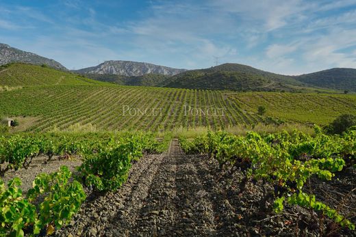 Rural or Farmhouse in Perpignan, Pyrénées-Orientales