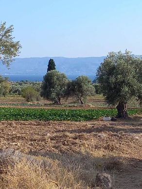 Land in Eretria, Nomós Evvoías