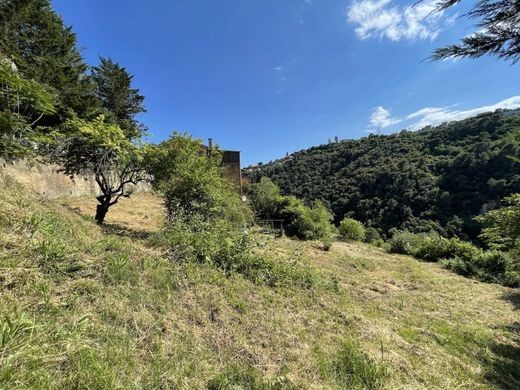 Terreno a Nizza, Alpi Marittime