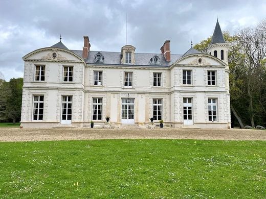 Castillo en Orleáns, Loiret