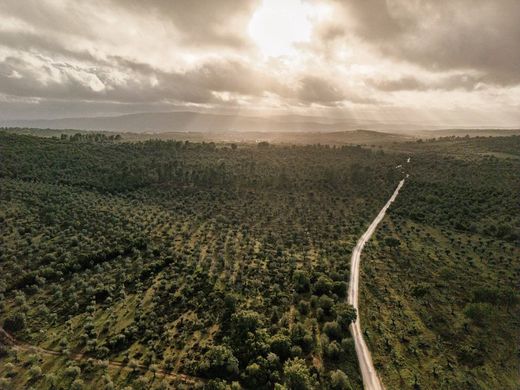 Terreno en Borba, Évora