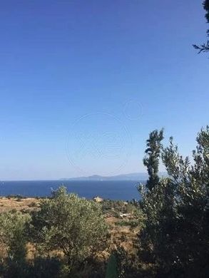 Teren w Aegina, Nomós Piraiós