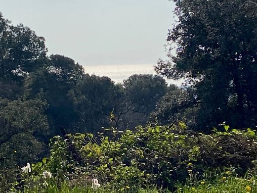 Land in Cagnes-sur-Mer, Alpes-Maritimes