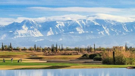 Teren w Marrakesz, Marrakech