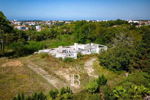 Land in Biarritz, Pyrénées-Atlantiques