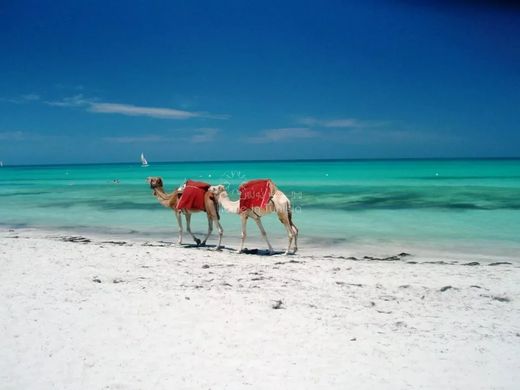 ‏מלון ב  Playa Sidi Mehrez, Jerba Midoun