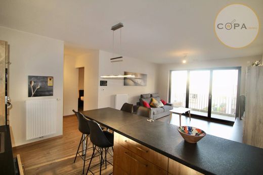 ‏דירה ב  Schifflange, Canton d'Esch-sur-Alzette