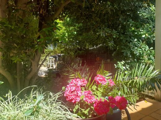 ‏בתי יוקרה ב  Canet-Plage, Pyrénées-Orientales