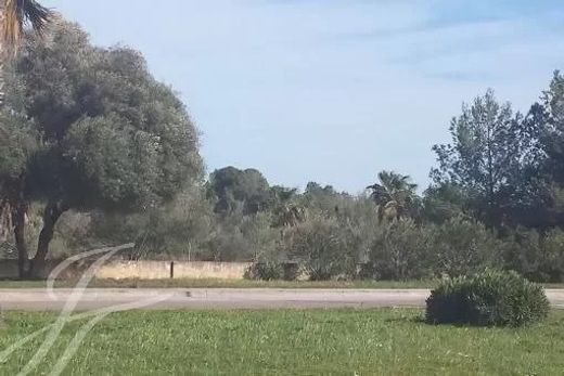 Αγροτεμάχιο σε Santa Ponsa, Illes Balears