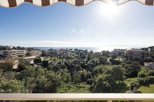아파트 / 칸, Alpes-Maritimes