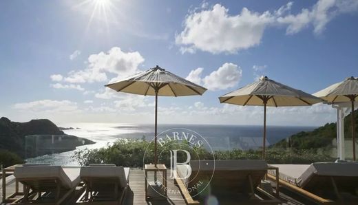 빌라 / Le Gouverneur