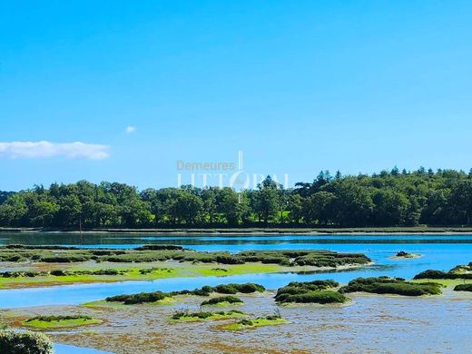 Элитный дом, Pluneret, Morbihan