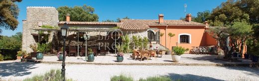 Rural or Farmhouse in Besse-sur-Issole, Var