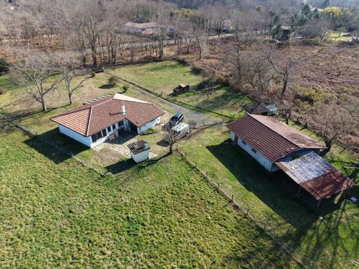 Luxury home in Sainte-Eulalie-en-Born, Landes