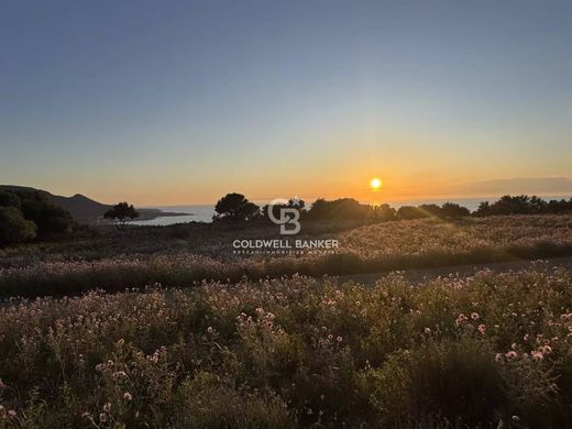 Land in Corbara, Upper Corsica