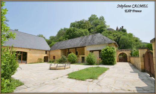 豪宅  Les Eyzies-de-Tayac-Sireuil, Dordogne