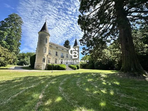 Castillo en Tournon-Saint-Pierre, Indre y Loira