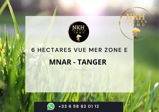 Arsa Tangier, Tanger-Assilah