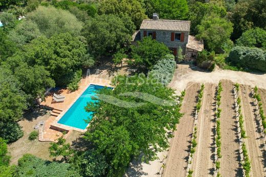 Rural or Farmhouse in Le Plan-de-la-Tour, Var