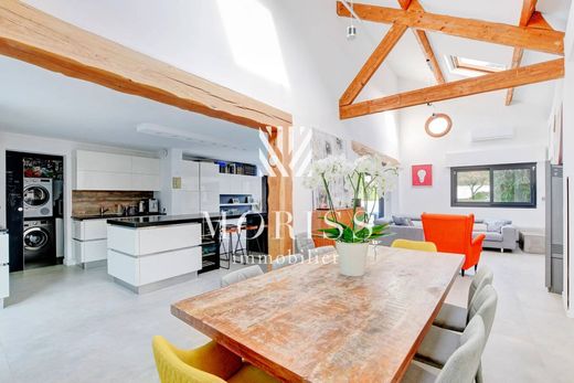 Luxe woning in Nogent-sur-Marne, Val-de-Marne