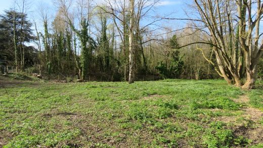 토지 / Montfort-l'Amaury, Yvelines