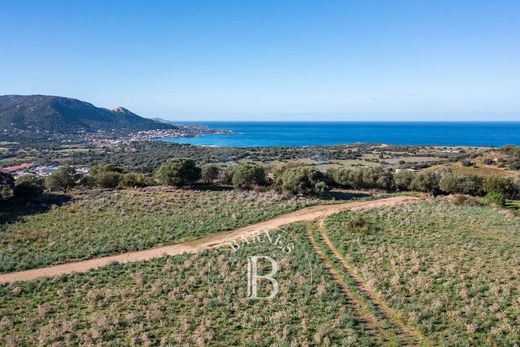 Land in Corbara, Upper Corsica