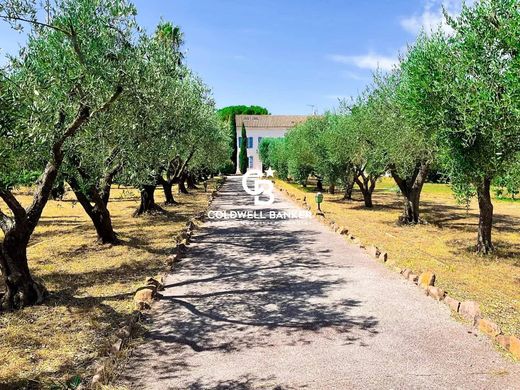 Rustykalny lub Wiejski w Solliès-Pont, Var