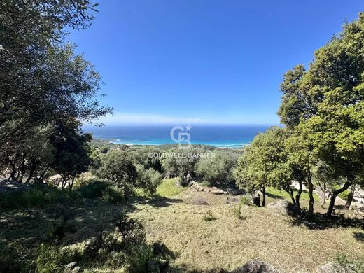 Land in Corbara, Upper Corsica