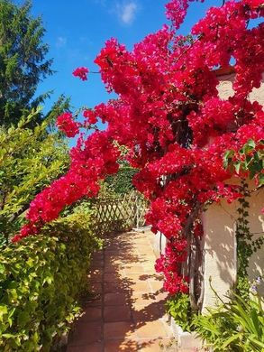 ‏בתי יוקרה ב  ניס, Alpes-Maritimes