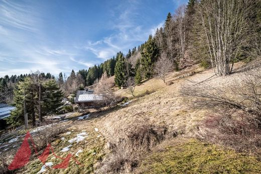地皮  Les Gets, Haute-Savoie