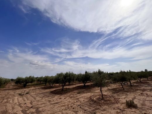 Arsa Marrakesh, Marrakech