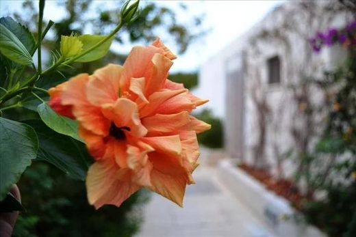 Villa Epáno Eloúnda, Nomós Lasithíou