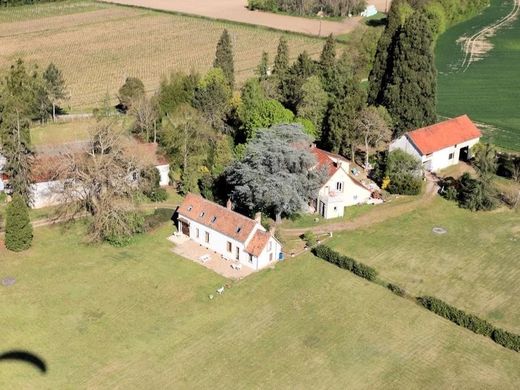 قصر ﻓﻲ Bonny-sur-Loire, Loiret