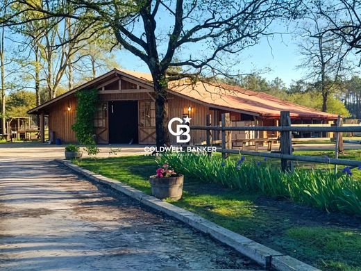 호화 저택 / Lacanau, Gironde